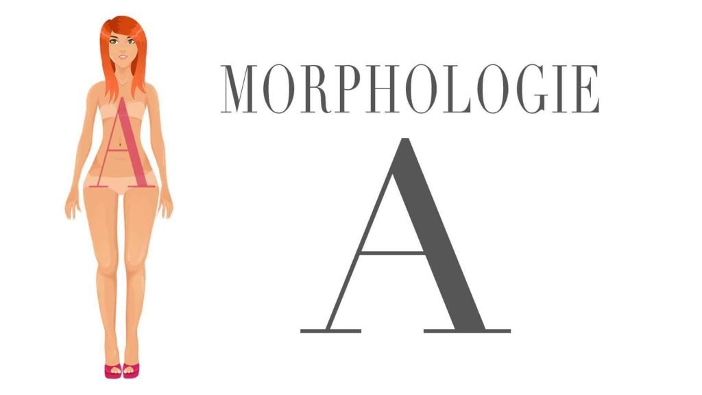 Morphologie A. | Photo : Unsplash