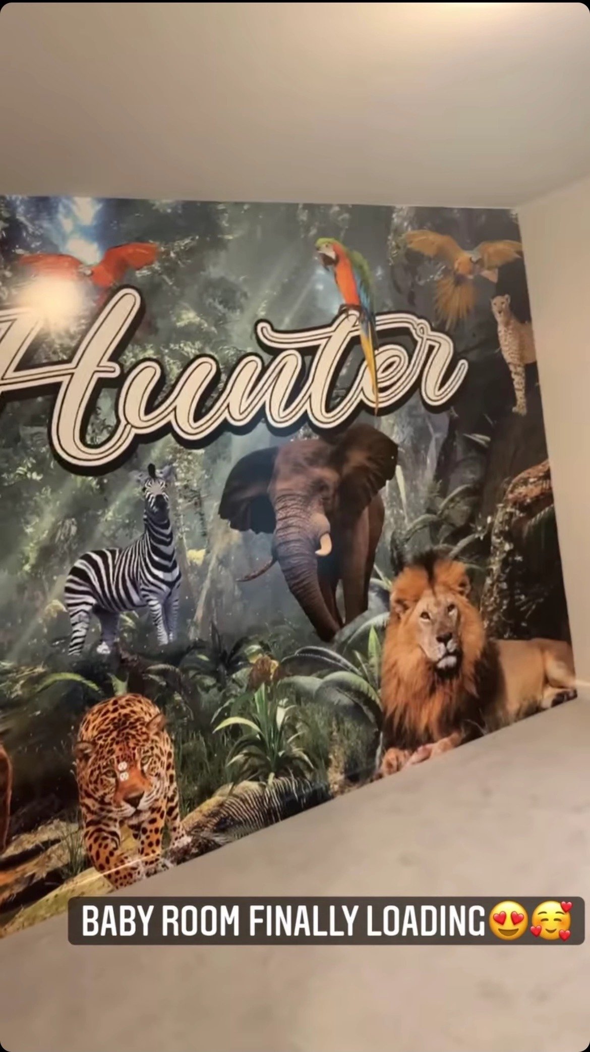 Another side of Zonnique Pullins' jungle-themed nursery room for her child with the name "Hunter." | Photo: instagram.com/zonniquejailee