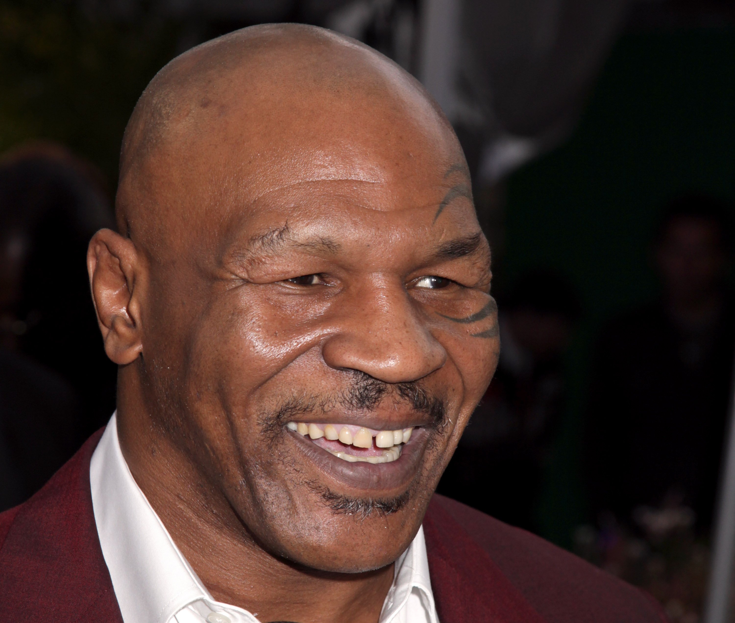 Mike Tyson attending the 15th Annual Academy Awards Viewing Party Benefiting Children Uniting Nations in Beverly Hills | Source: Getty Images