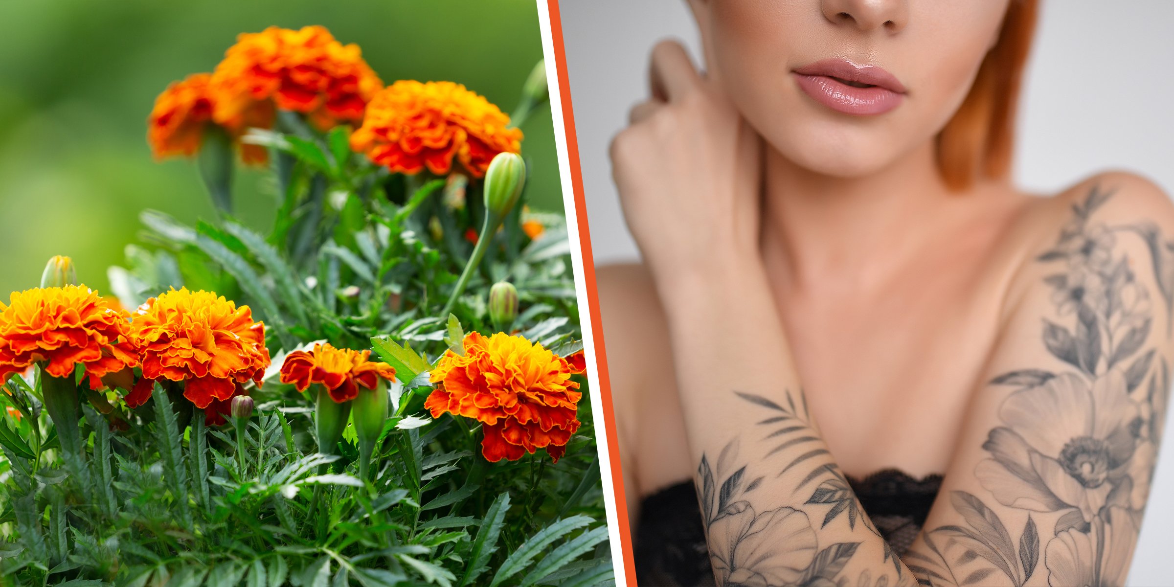 Marigolds and woman with marigold flower tattoos. | Source: Shutterstock