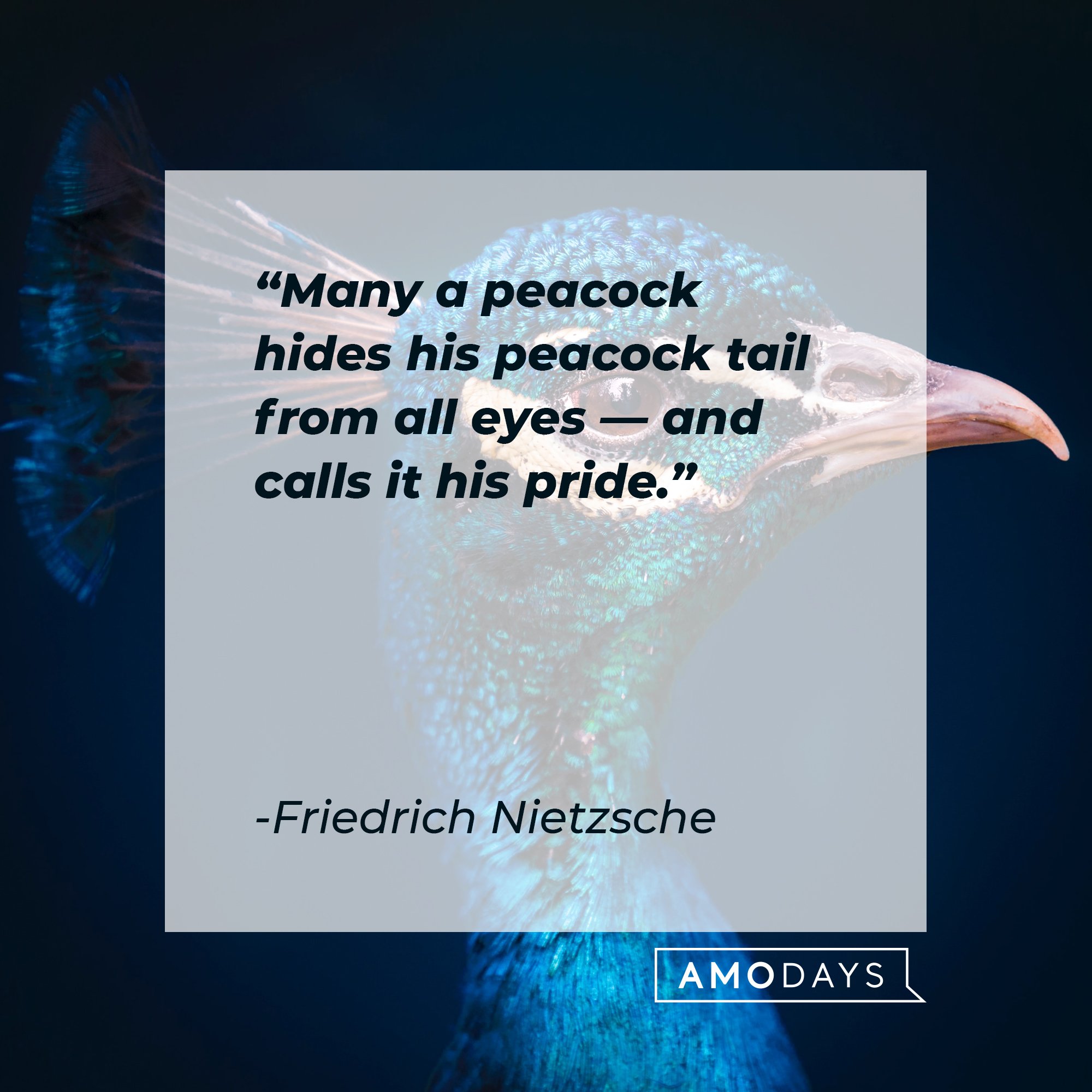  Friedrich Nietzsche: "Many a peacock hides his peacock tail from all eyes — and calls it his pride." | Image: AmoDays