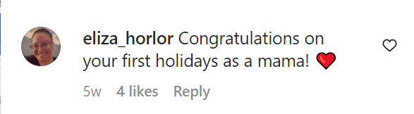 A fan's comment on Rebel Wilson's post on December 19, 2022 | Source: Instagram/rebelwilson