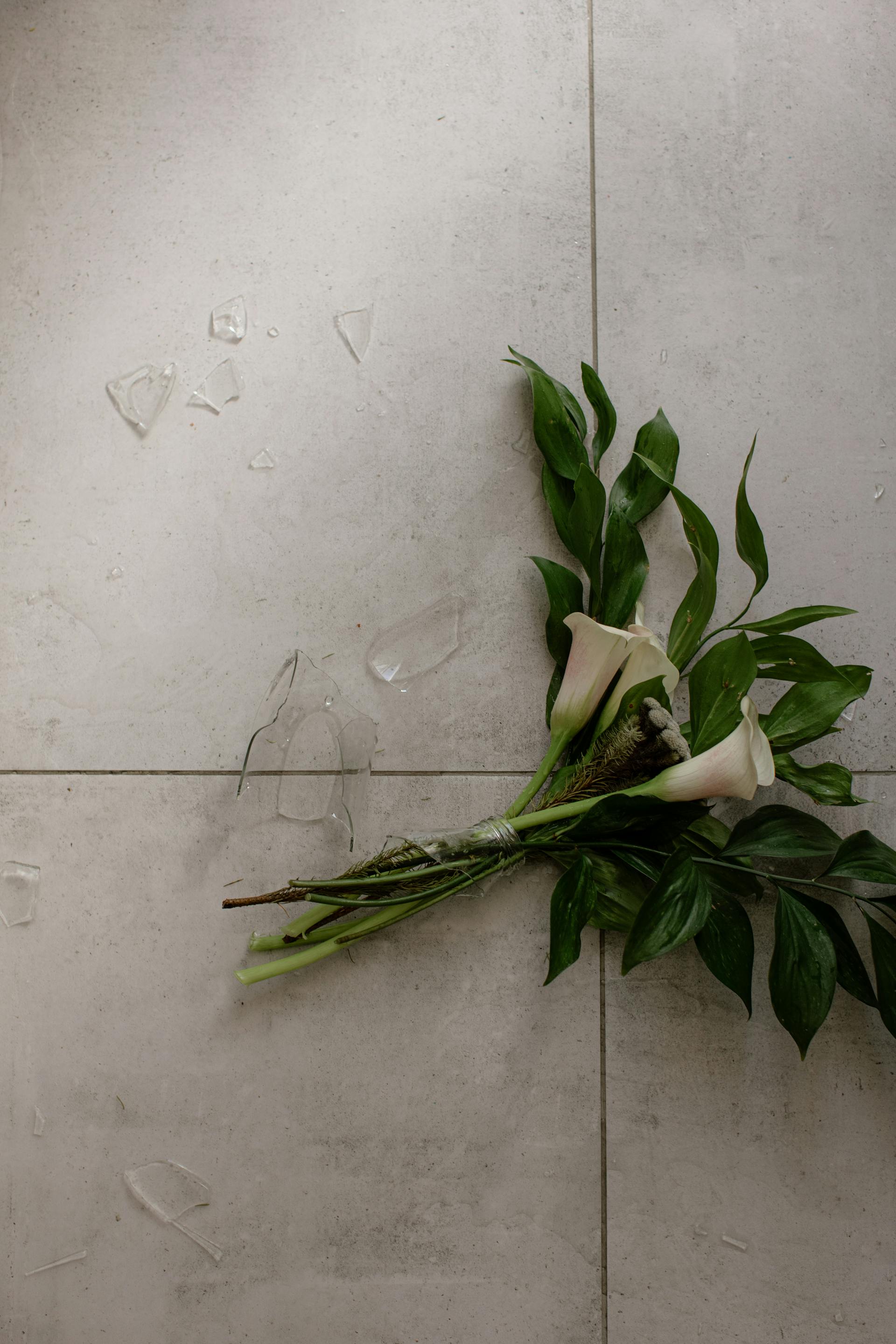 Flowers and shards of glass lying on the floor | Source: Pexels