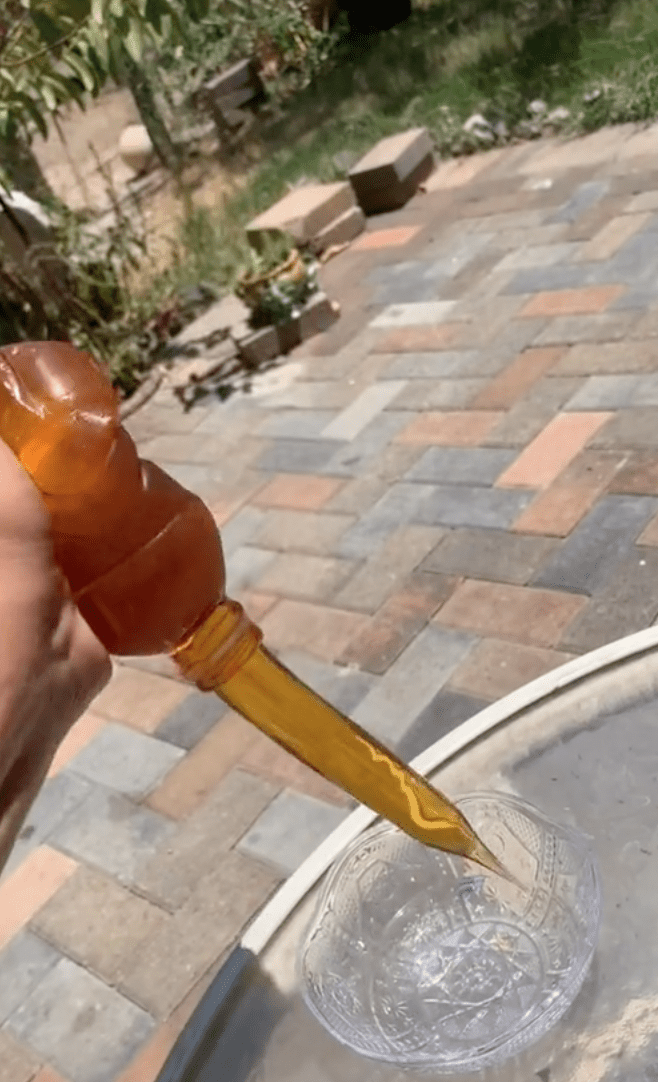 In a viral video a TikToker froze honey and showed viewers what it looked like | Photo: TikTok/daveyrz