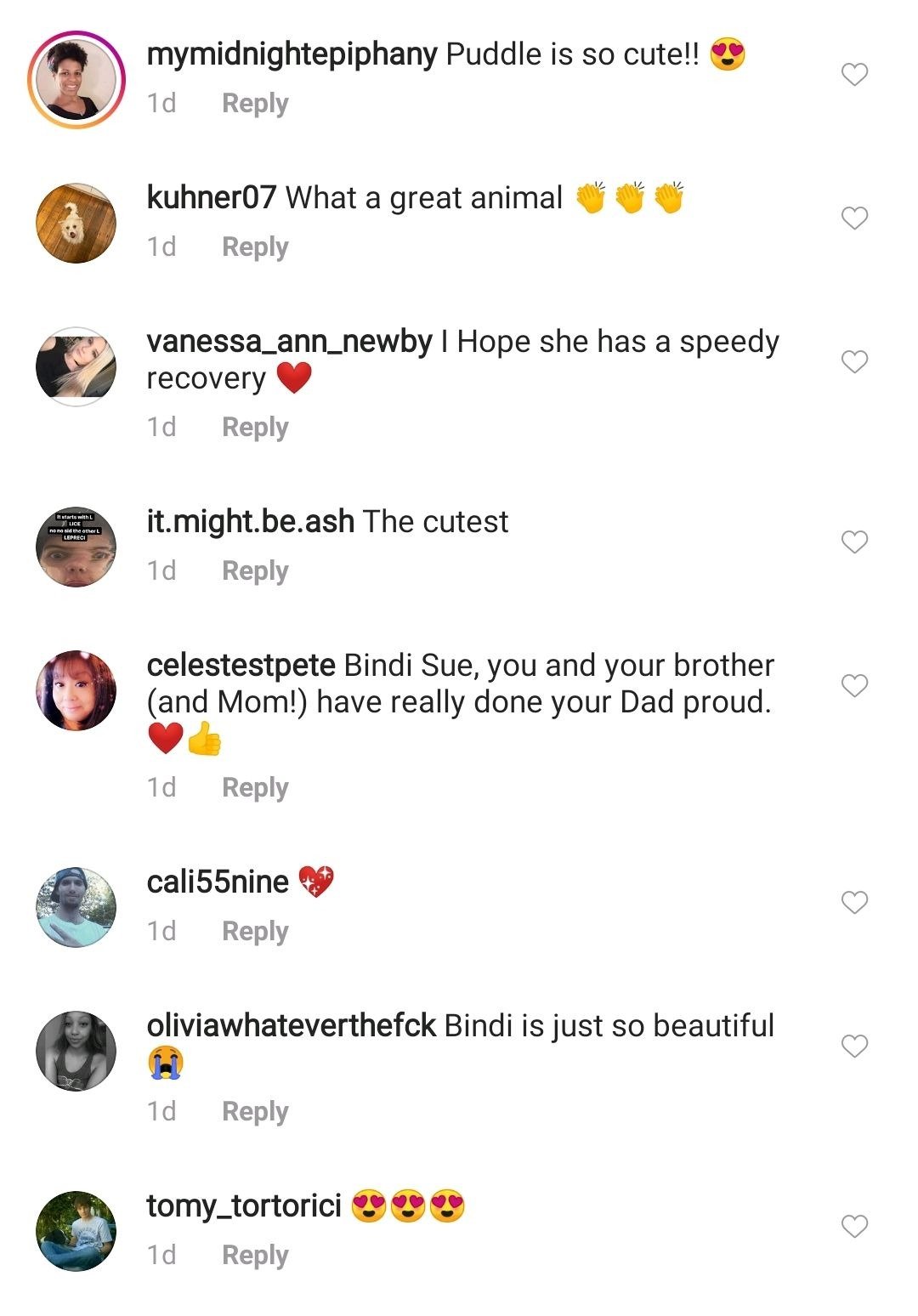 Screenshot of comments on Bindi Irwin's Instagram post. | Source: Instagram.com/BindiSueIrwin