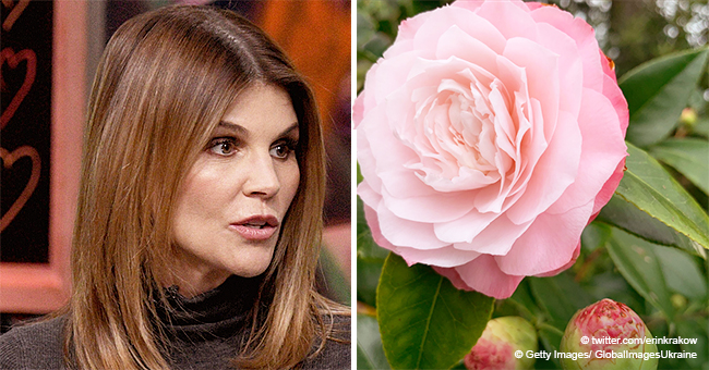 Lori Loughlin’s co-Star Shares a Cryptic Post Amid Bribery Scandal: ‘You Are Always There for Me’