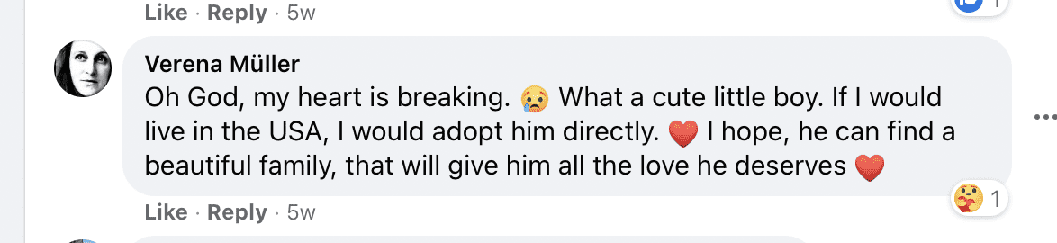Comment under a post about a young boy pleading to be adopted. | Photo: facebook.com/depelchin