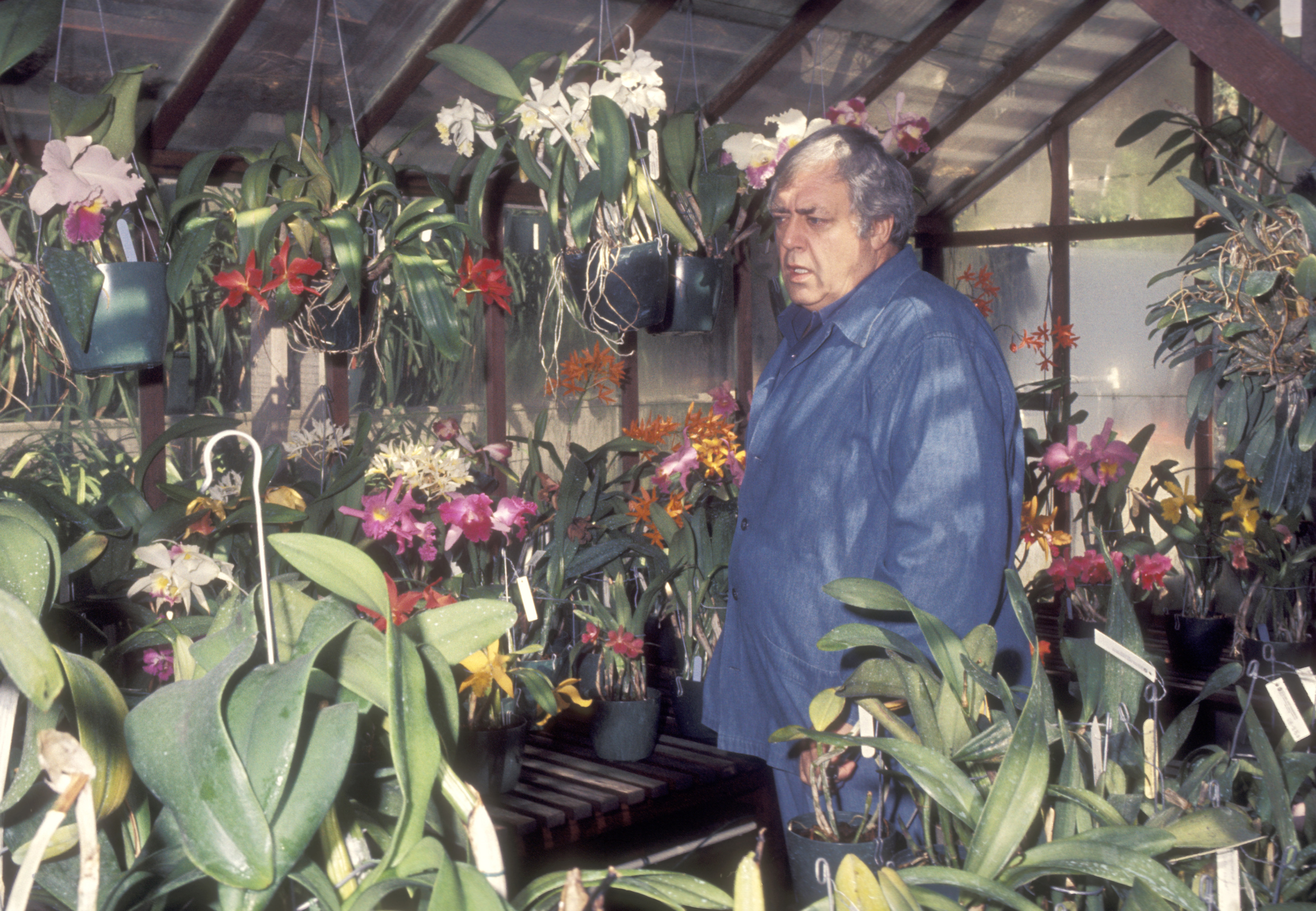 Raymond Burr on March 11, 1977, in Hollywood, California | Source: Getty Images