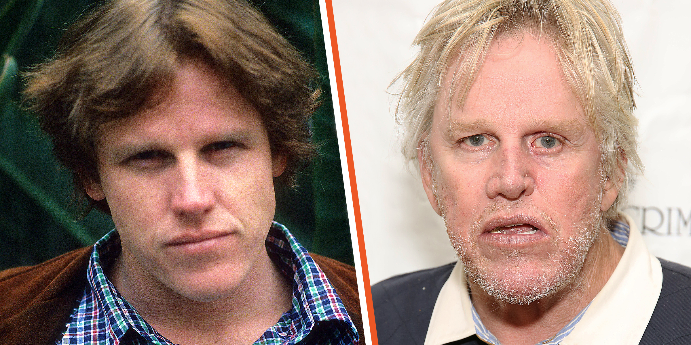 Gary Busey | Source: Getty Images