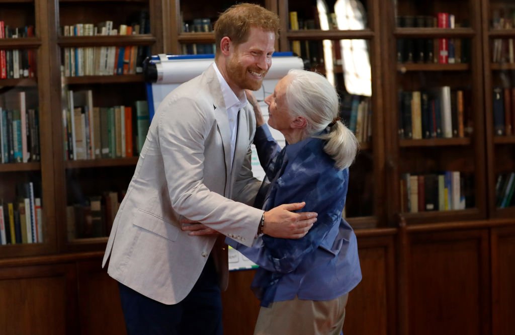 Prince Harry, Duke of Sussex and Dr Jane Goodall hug as he attends Dr. Jane Goodall's Roots & Shoots Global Leadership Meeting at Windsor Castle | Photo: Getty Images
