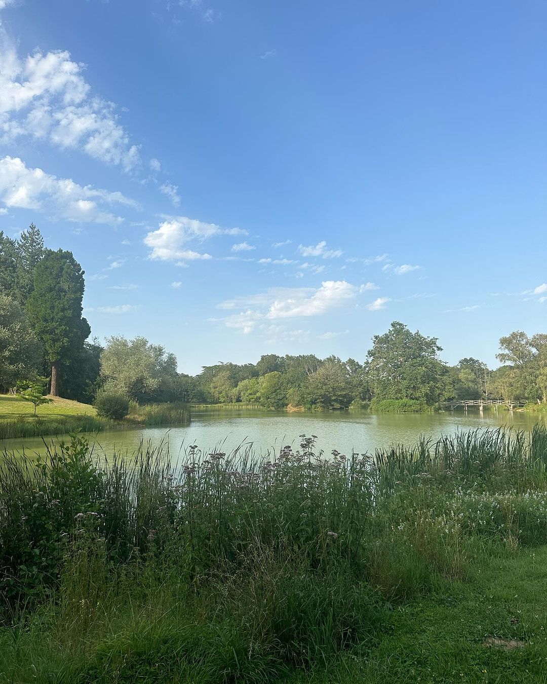 Inside the property of Alain Delon, La Brulerie, in Douchy, central France, from an Instagram post, dated August 1, 2024. | Source: Instagram/anouchkadelon/