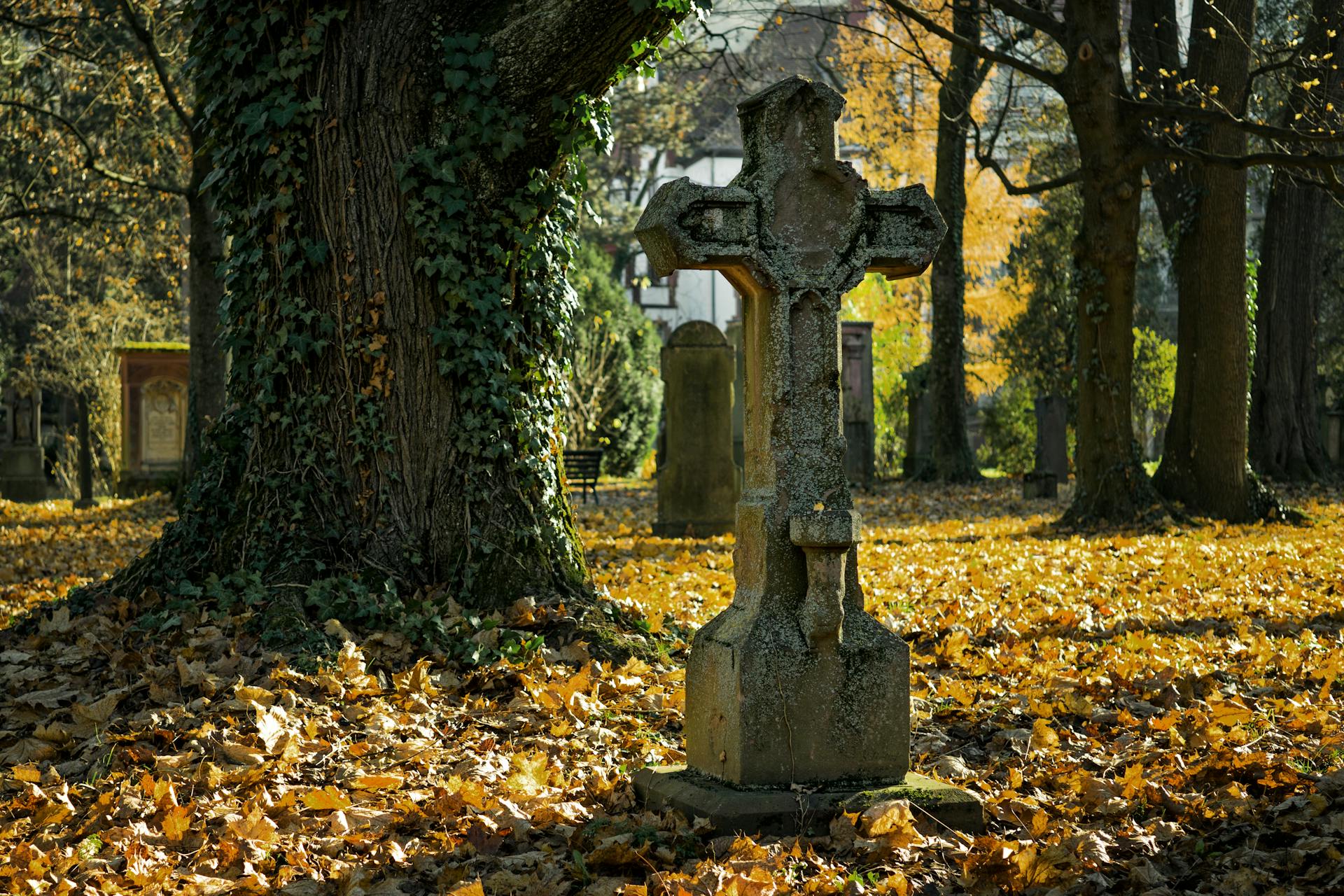 A concrete cross in a cemetery | Source: Pexels