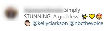A fan's comment on Kelly Clarkson's post of her wearing a white gown. | Photo: Instagram/Kellyclarkson