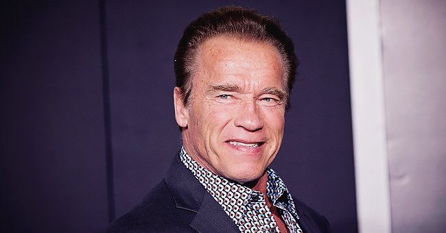 Arnold Schwarzenegger of 'Terminator' Plays Chess with Pet Donkey Lulu ...