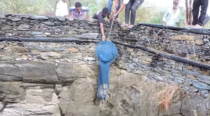 Quelle: YouTube/Animal Aid Unlimited, India