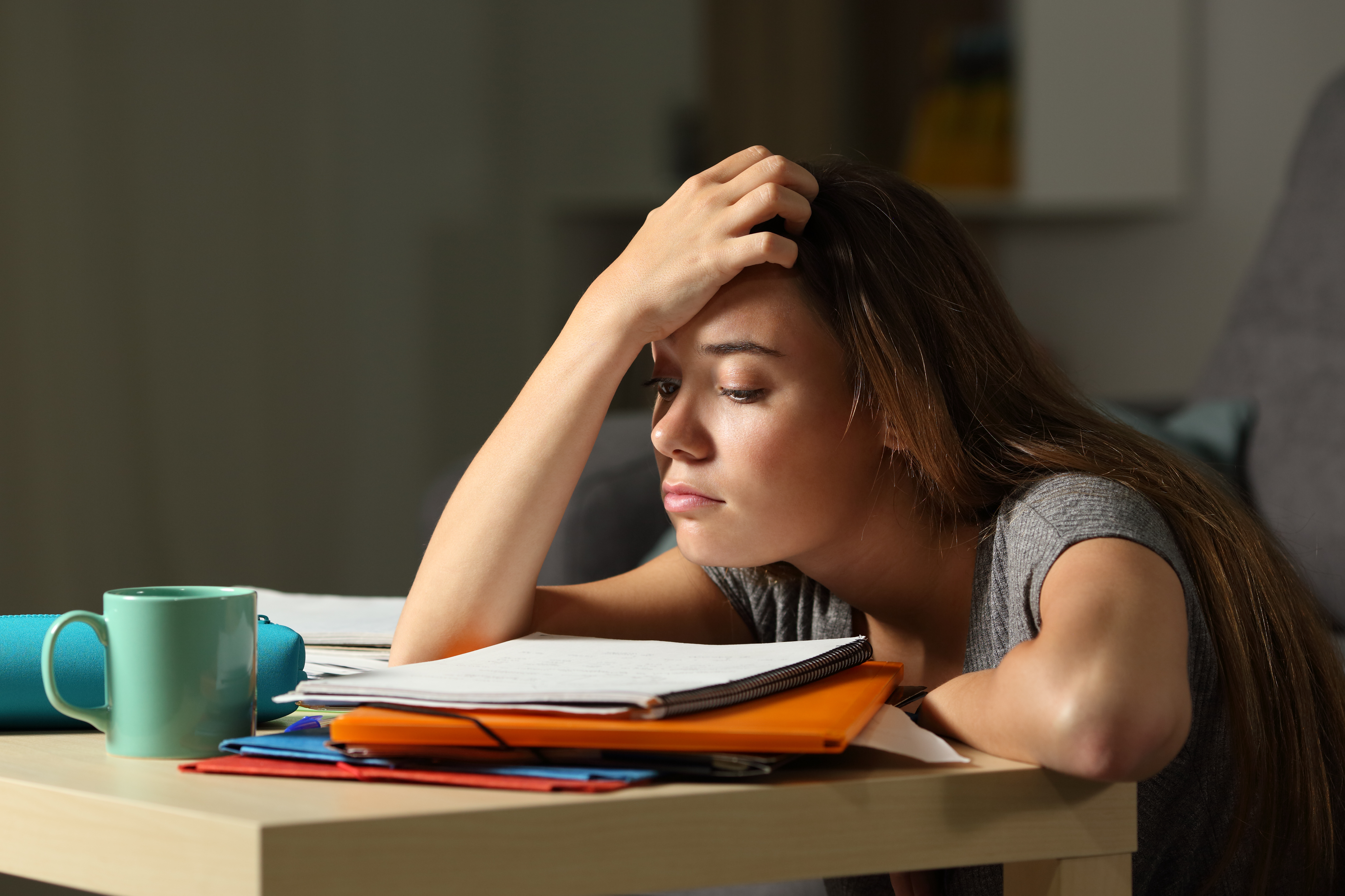 Tired student trying to study | Source: Shutterstock