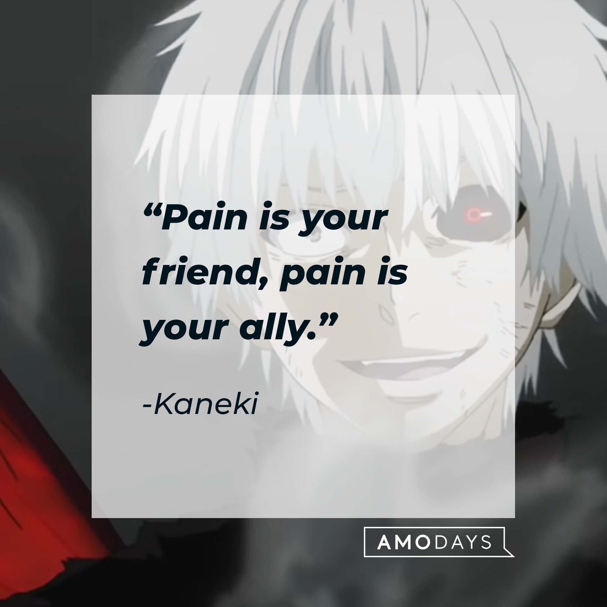 Kaneki's quote: "Pain is your friend, pain is your ally." | Image: AmoDays