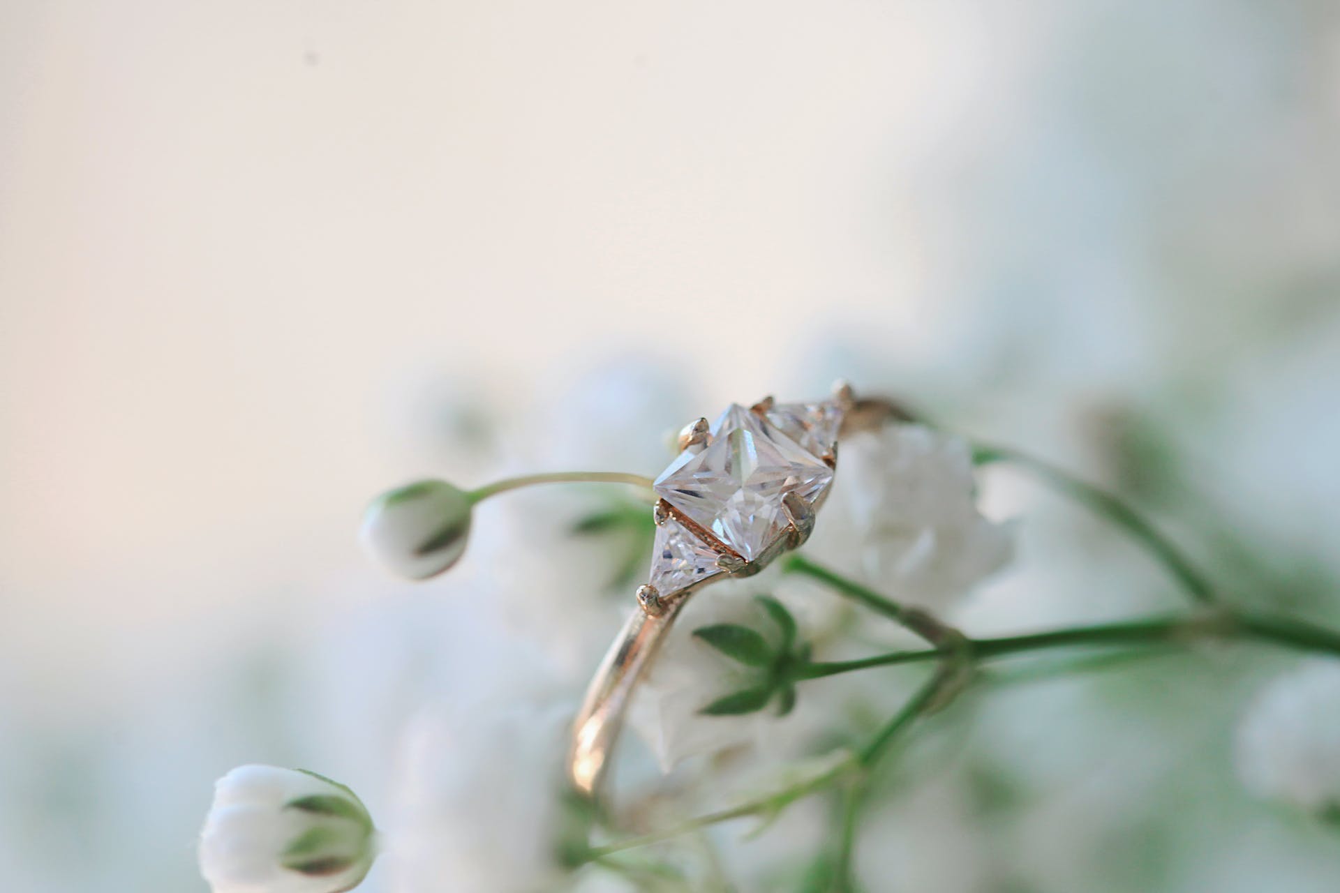 A ring stuck in a plant | Source: Pexels