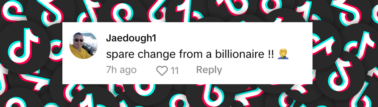 A fan comment dated October 16, 2024 | Source: TikTok/@tmz