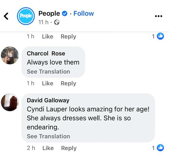 Fan comments on People's Facebook post of Cyndi Lauper and Rod Stewart while on tour in Australia and New Zealand on April 3, 2023 | Source: Facebook/People