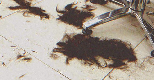 Scott would cut his hair when he was ready. | Source: Shutterstock