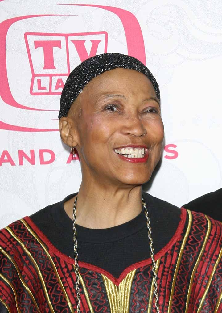 Olivia Cole during 5th Annual TV Land Awards - Arrivals at Barker Hangar in Santa Monica, California, United States. I Image: Getty Images.