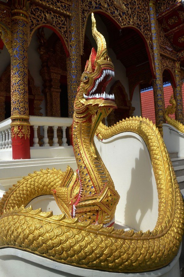Serpiente china. | Foto: Pxhere Serpiente china. | Foto: Pxhere
