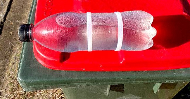 Photo of a plastic bottle on the handle of a trash can | Photo: facebook.com/bianca.zinnato