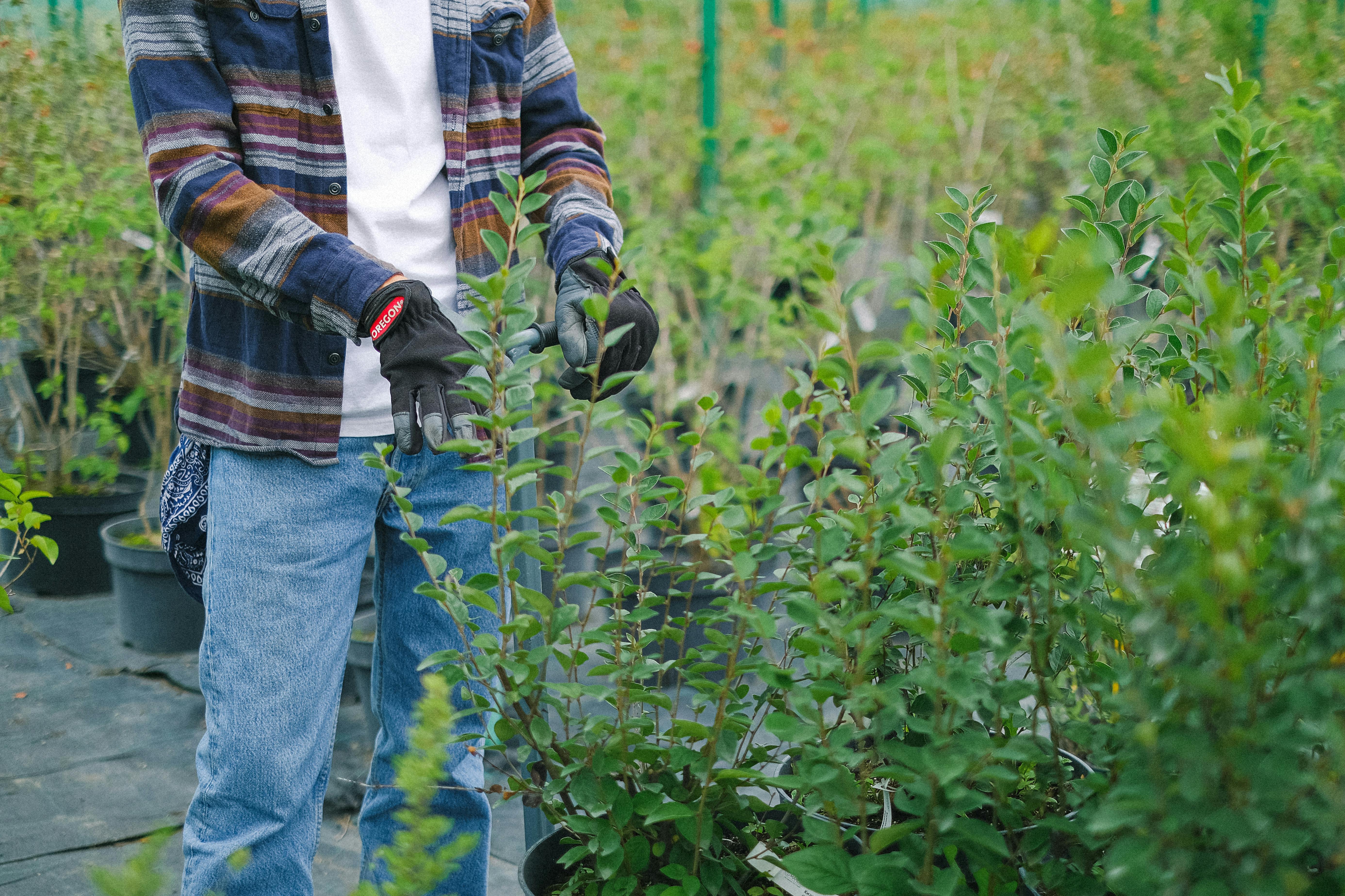 A man tidying up a messy garden | Source: Pexels