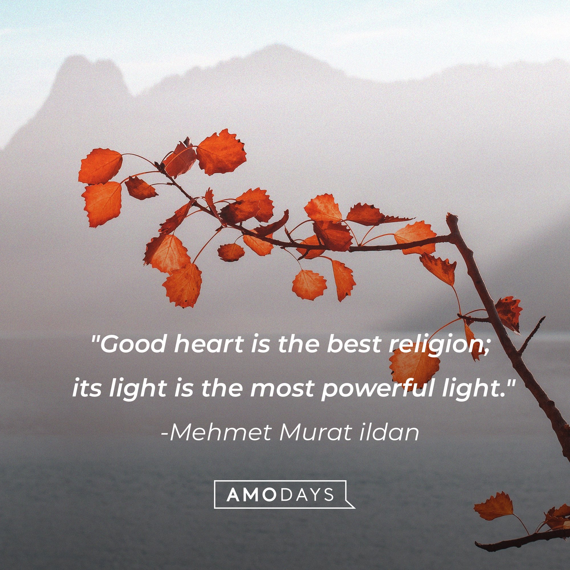 Mehmet Murat ildan’s quote: "Good heart is the best religion; its light is the most powerful light." | Image: AmoDays