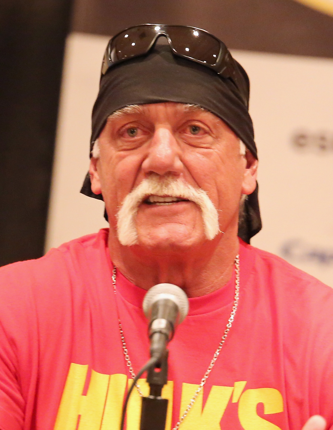 Hulk Hogan onstage at "Hit a Home Run with Content Creation and Streaming" during the 2015 SXSW Music, Film + Interactive Festival on March 15 in Austin, Texas. | Source: Getty Images
