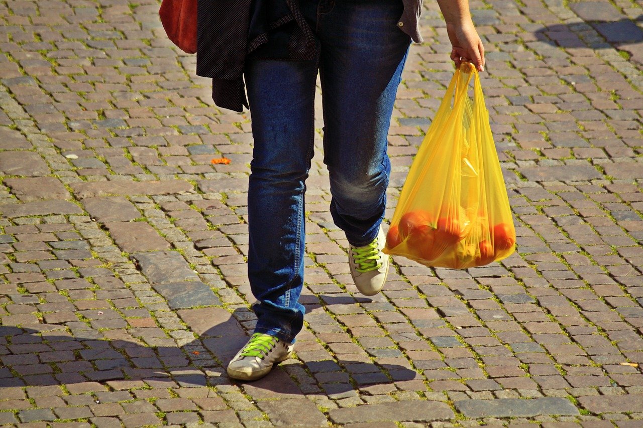 Persona caminando con una bolsa de alimentos. | Foto: Pixabay