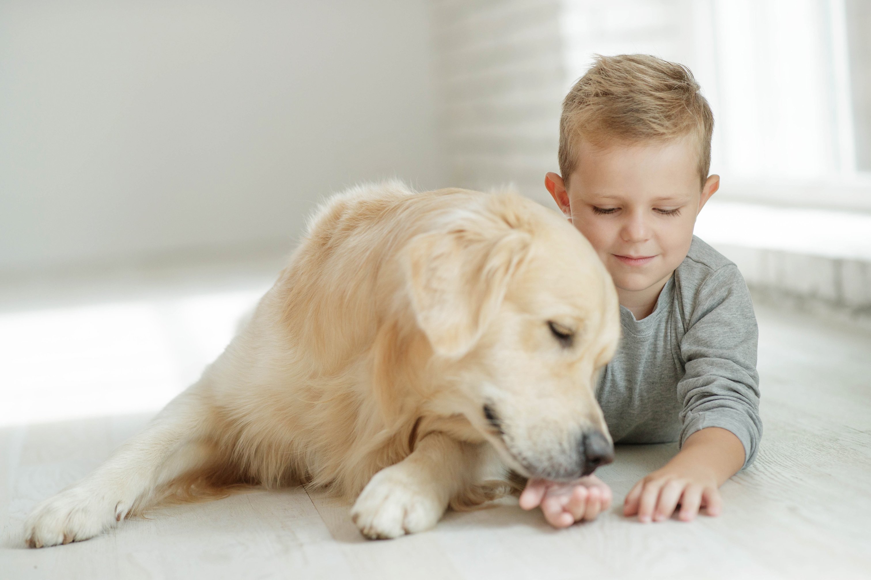 Niño con su perro. || Fuente: Shutterstock