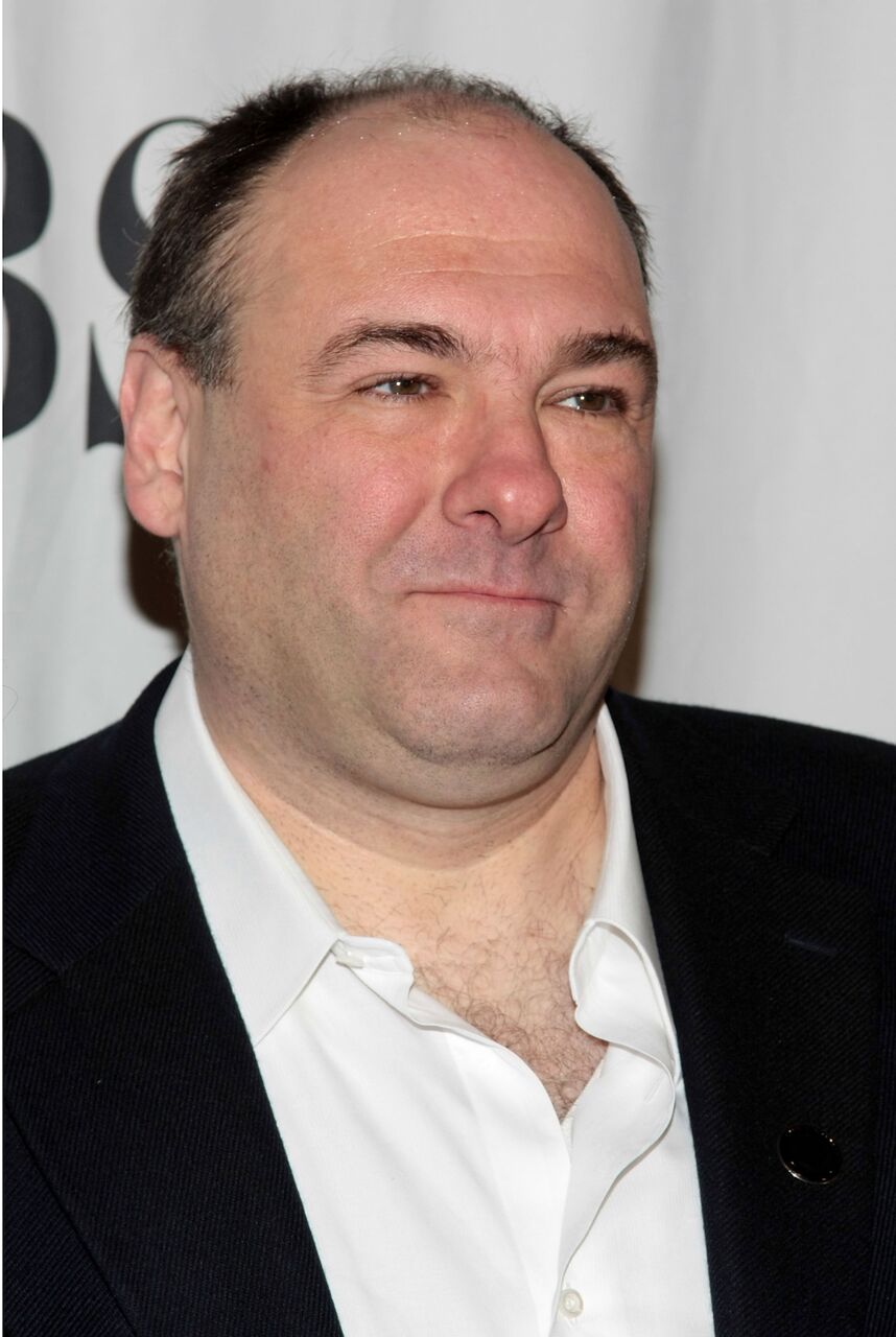James Gandolfini attends the 2009 Tony Awards. | Source: Getty Images