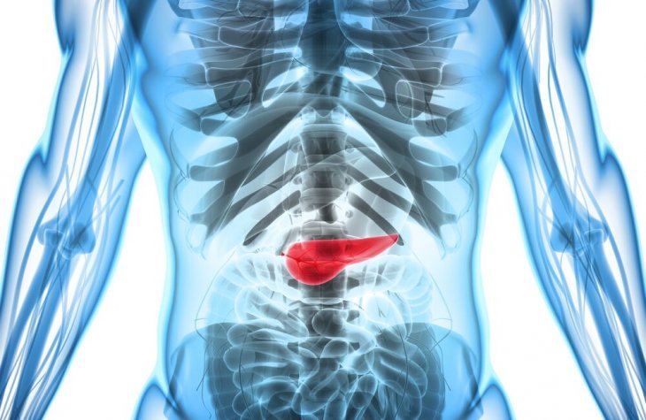 Imagen tomada de Shutterstock
