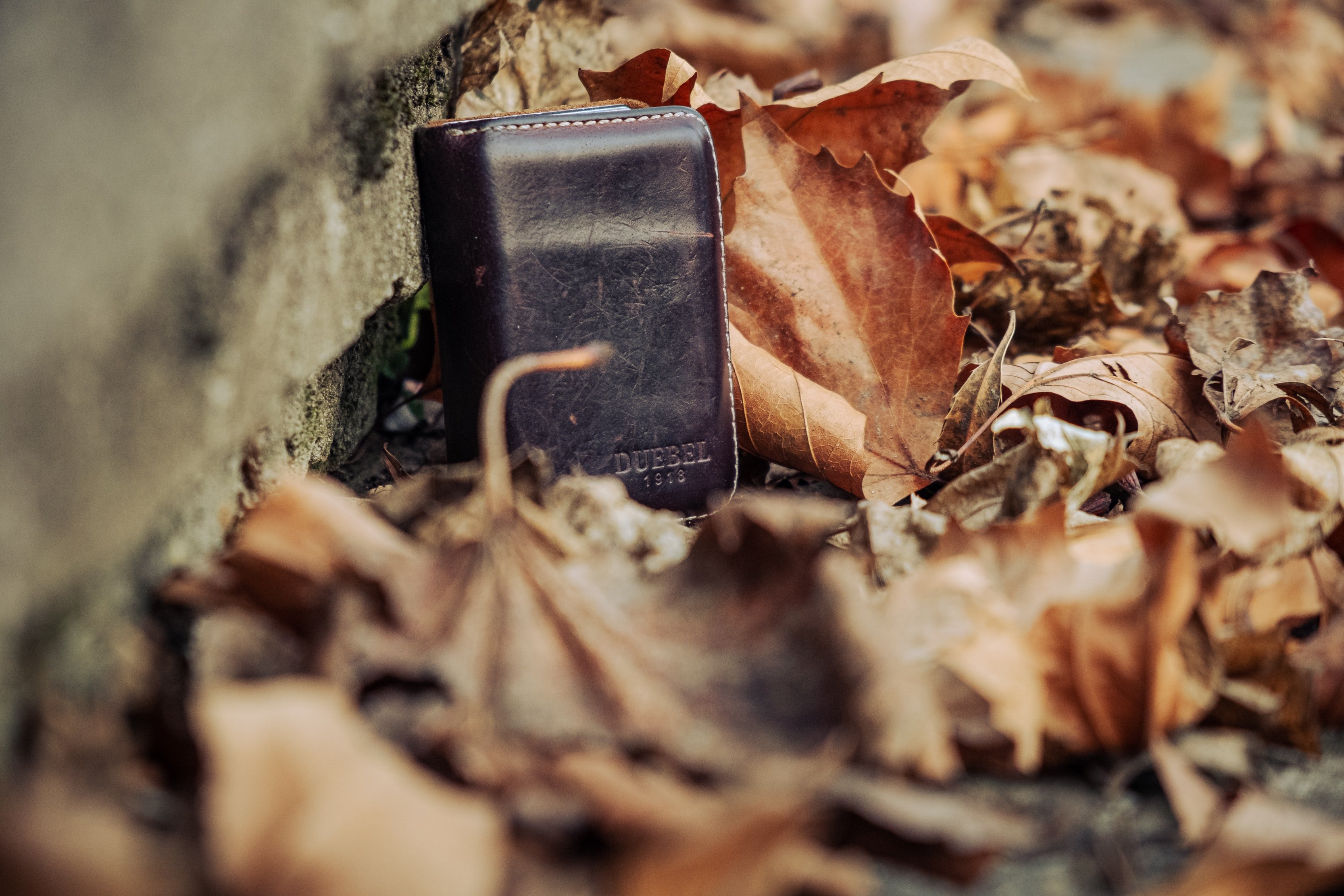 Jimmy found a wallet by the side of the road. | Source: Unsplash