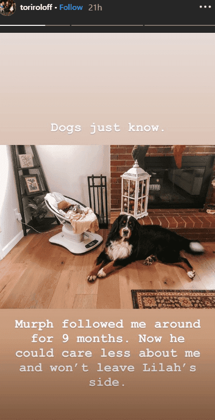 Zach Roloff and Tori Roloff’s dog, Murphy sits in front of swing chair, where her newborn, Lilah Roloff lays sleeping | Source: instagram.com/toriroloff