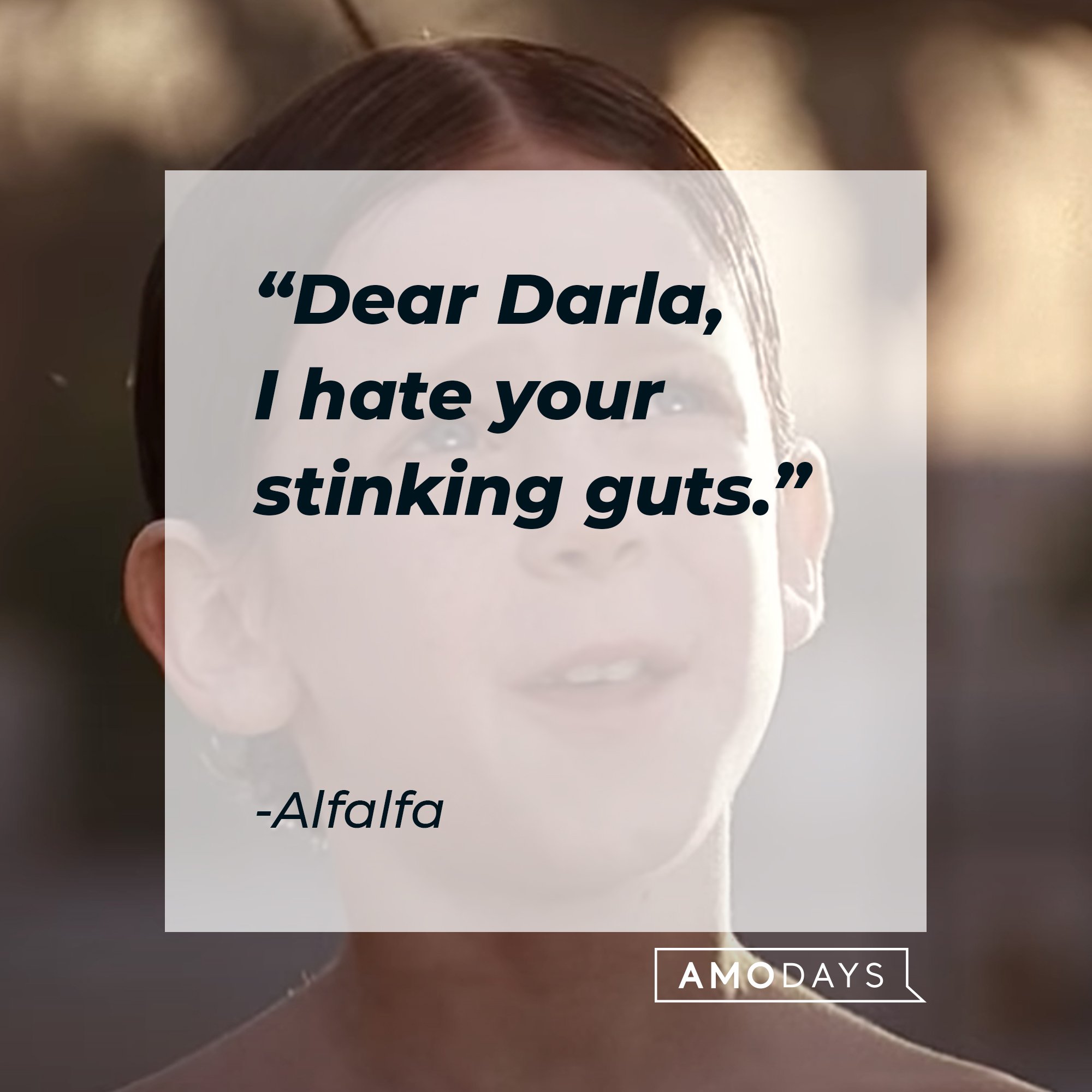 Alfalfa’s quote: "Dear Darla, I hate your stinking guts." | Image: AmoDays
