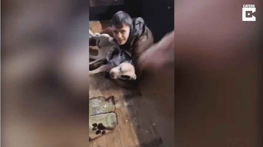Lee serrant sa chienne dans ses bras | Source : youtube Lee serrant sa chienne dans ses bras | Source : youtube