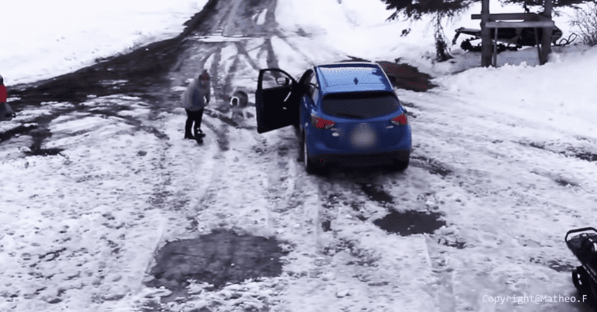 Deux chiens et une conductrice | Photo : RM Videos/Youtube