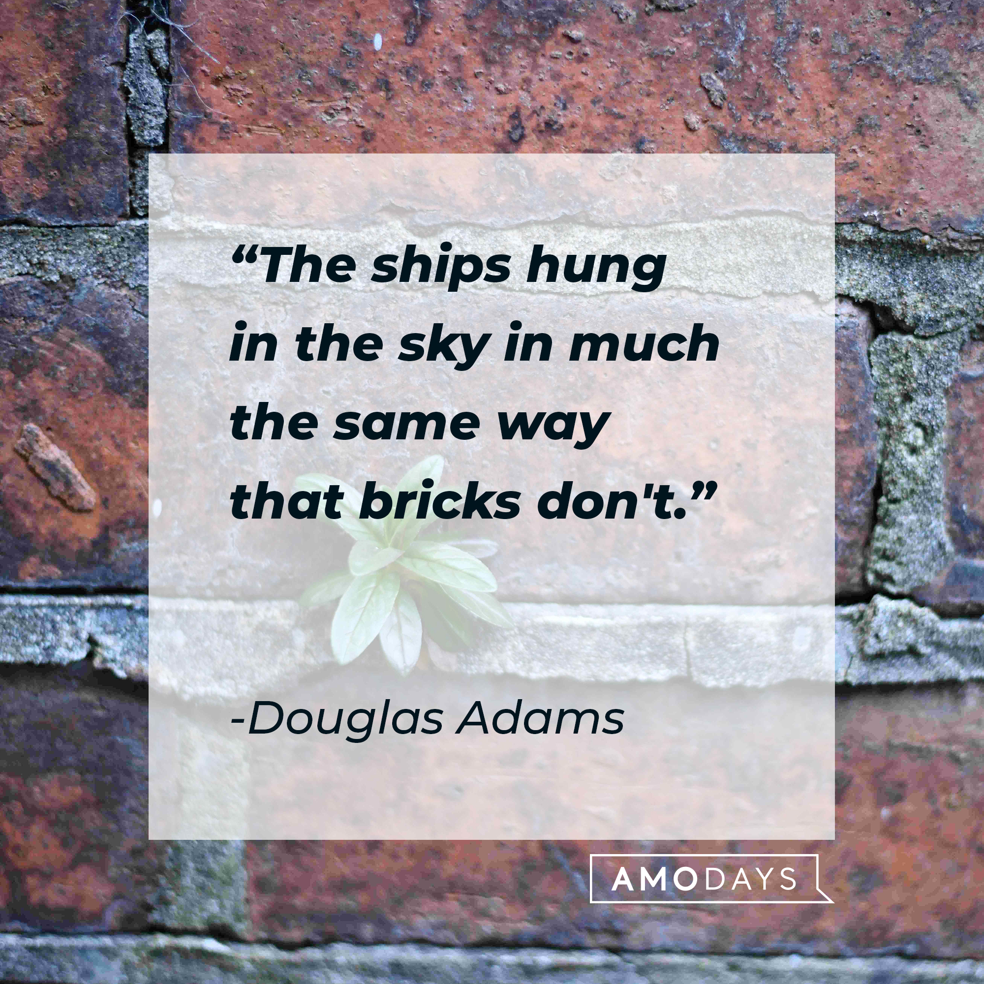 Douglas Adams' quote: "The ships hung in the sky in much the same way that bricks don't." | Source: Unsplash