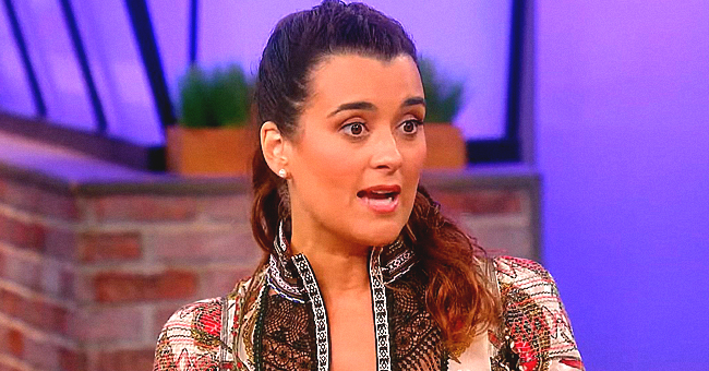 650px x 340px - NCIS Star Cote De Pablo Talks Sudden Exit and Return to the Series on the  'Rachel Ray Show'