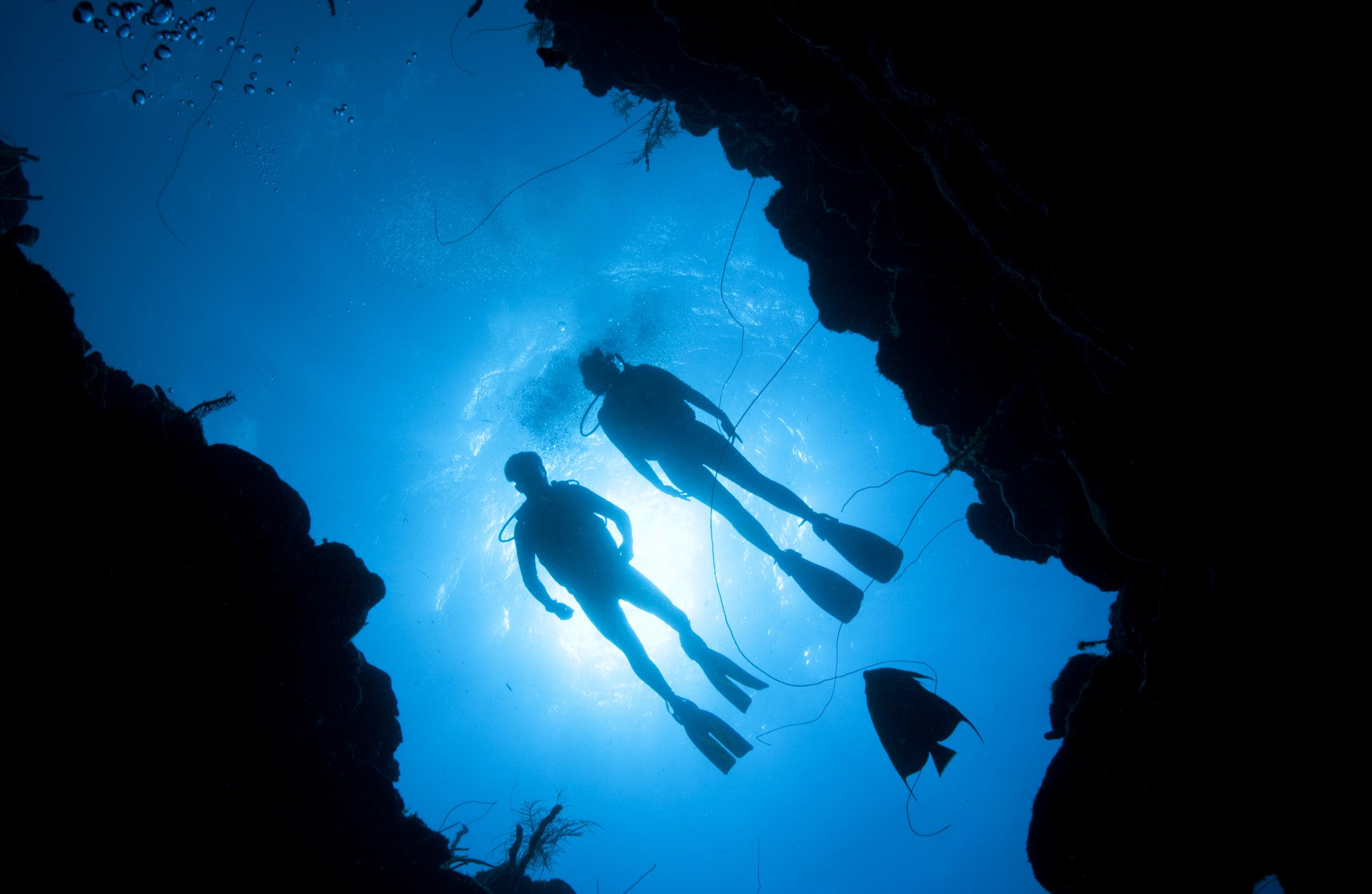 Divers near the surface of the water | Source: Getty Images