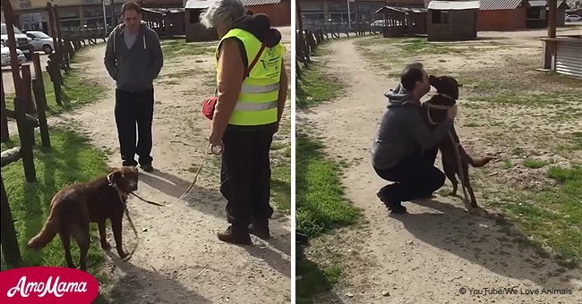 Depressed dog perks up after being in a shelter for 2 years and recognizing a familiar smell