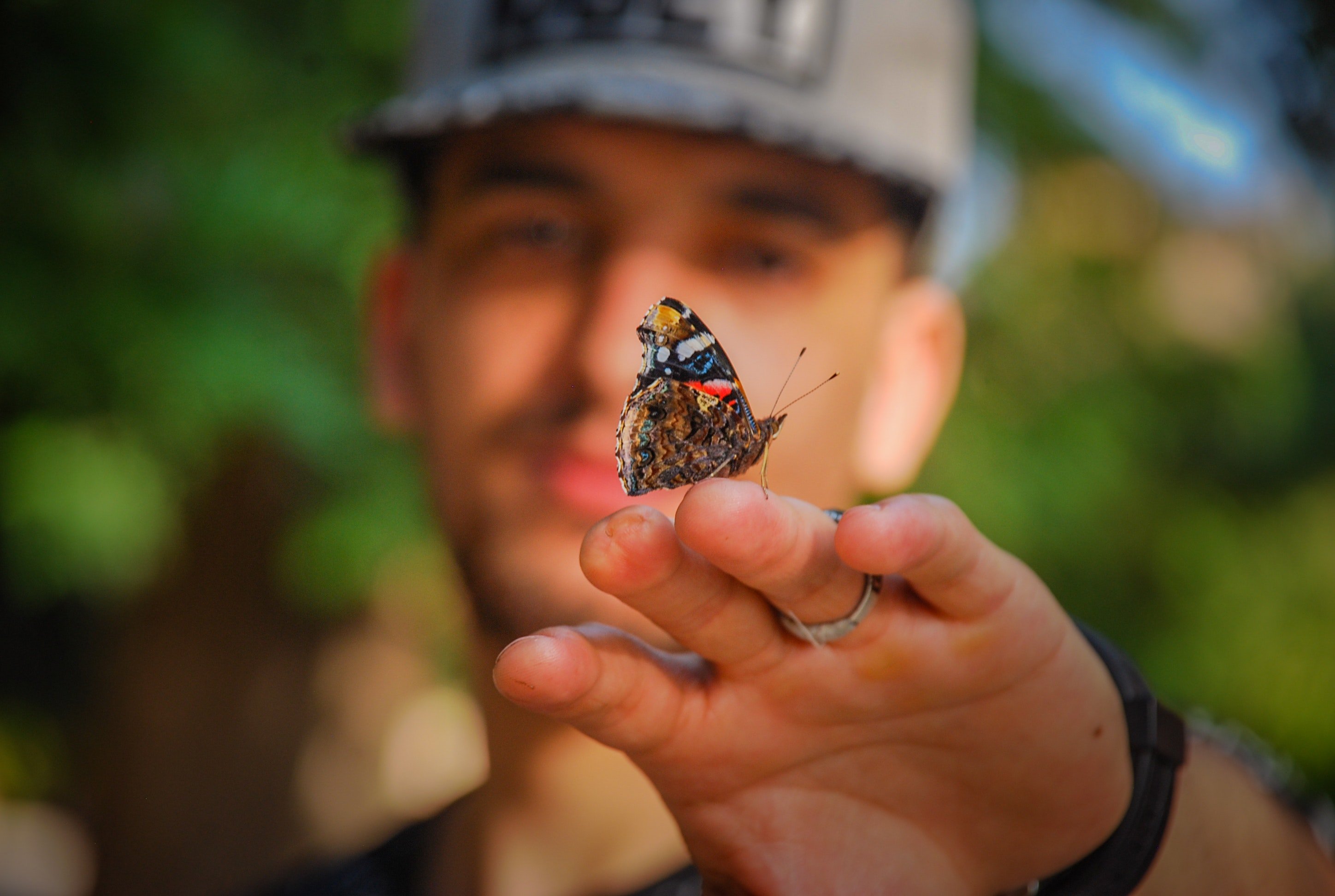 The butterfly lands on OP's uncle | Photo: Pexels