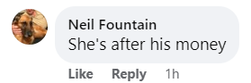 Ein Kommentar zu einem Facebook-Post über die Verlobung von Hulk Hogan und Sky Daily | Quelle: facebook.com/DailyMail