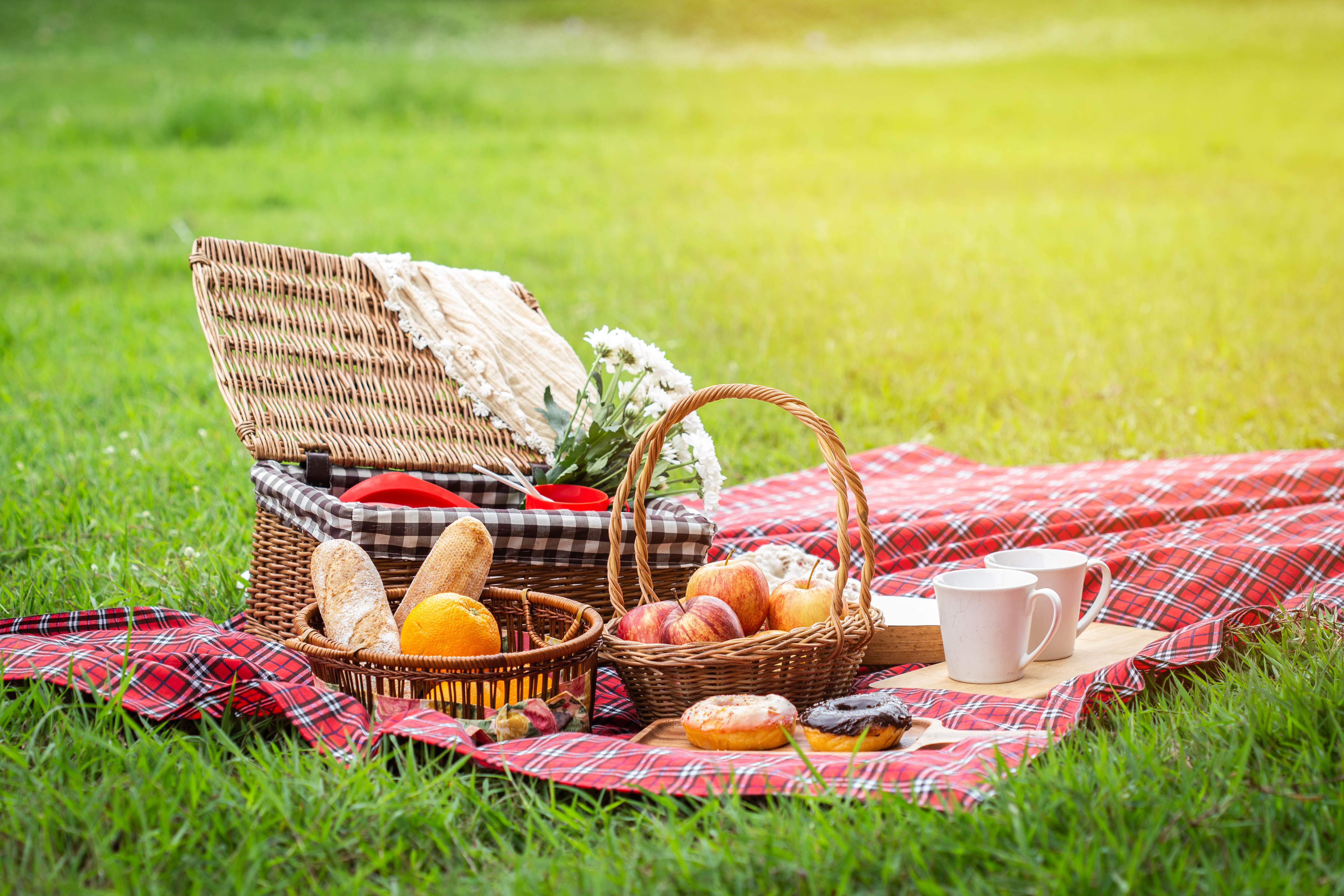 Picnic on meadow | Shutterstock