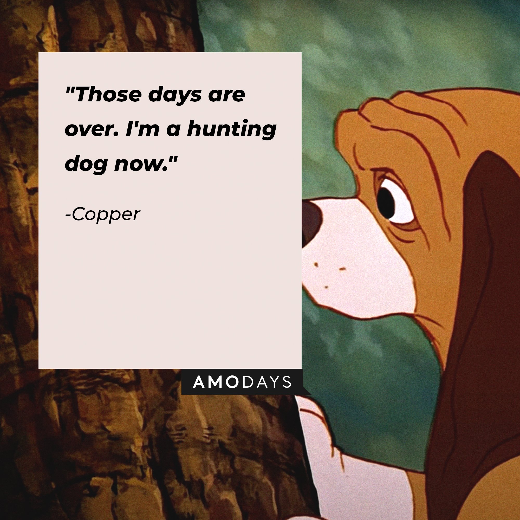 Copper’s quote: "Those days are over. I'm a hunting dog now.” | Image: AmoDays
