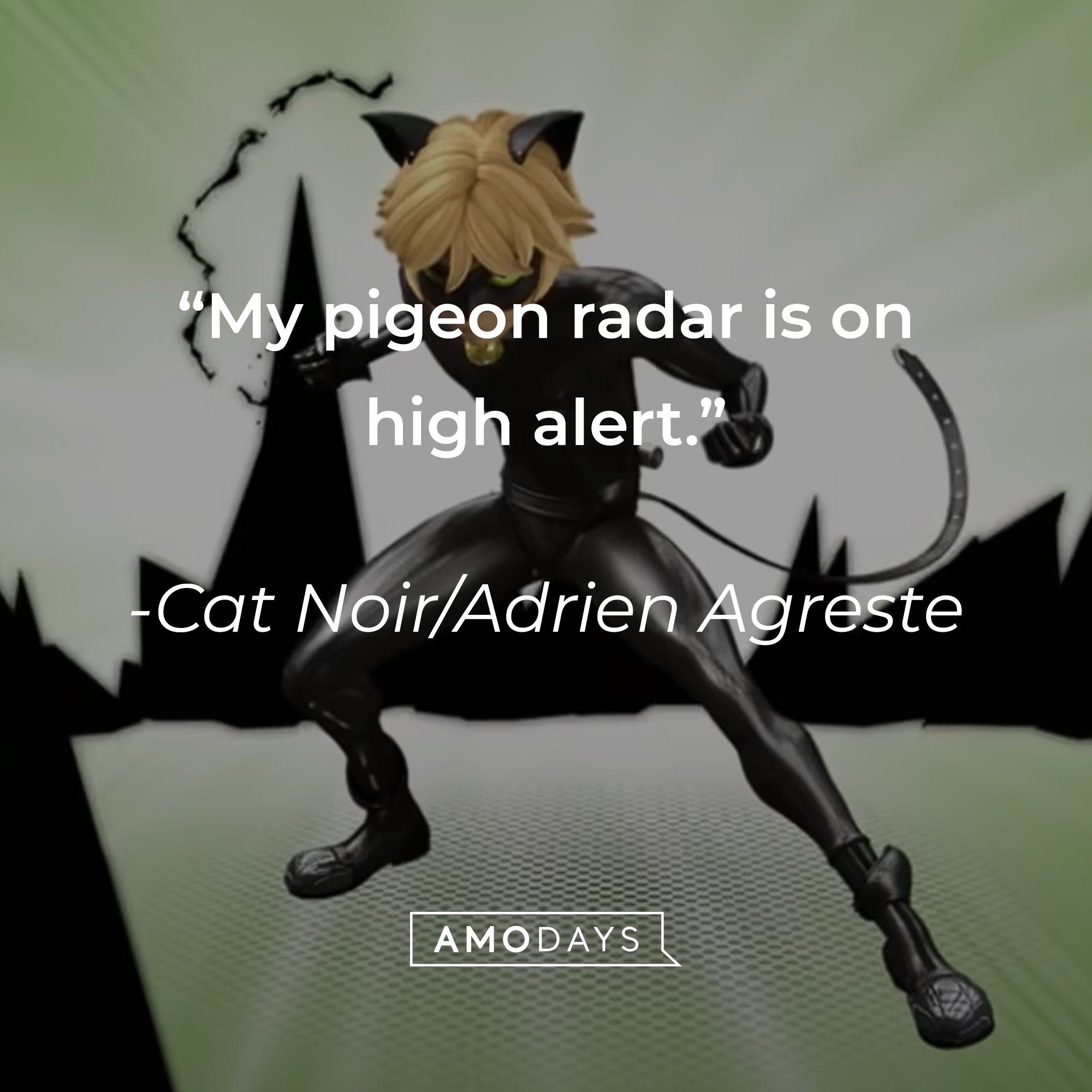 Cat Noir/Adrien Agreste’s quote: “My pigeon radar is on high alert.”  | Image: AmoDays 