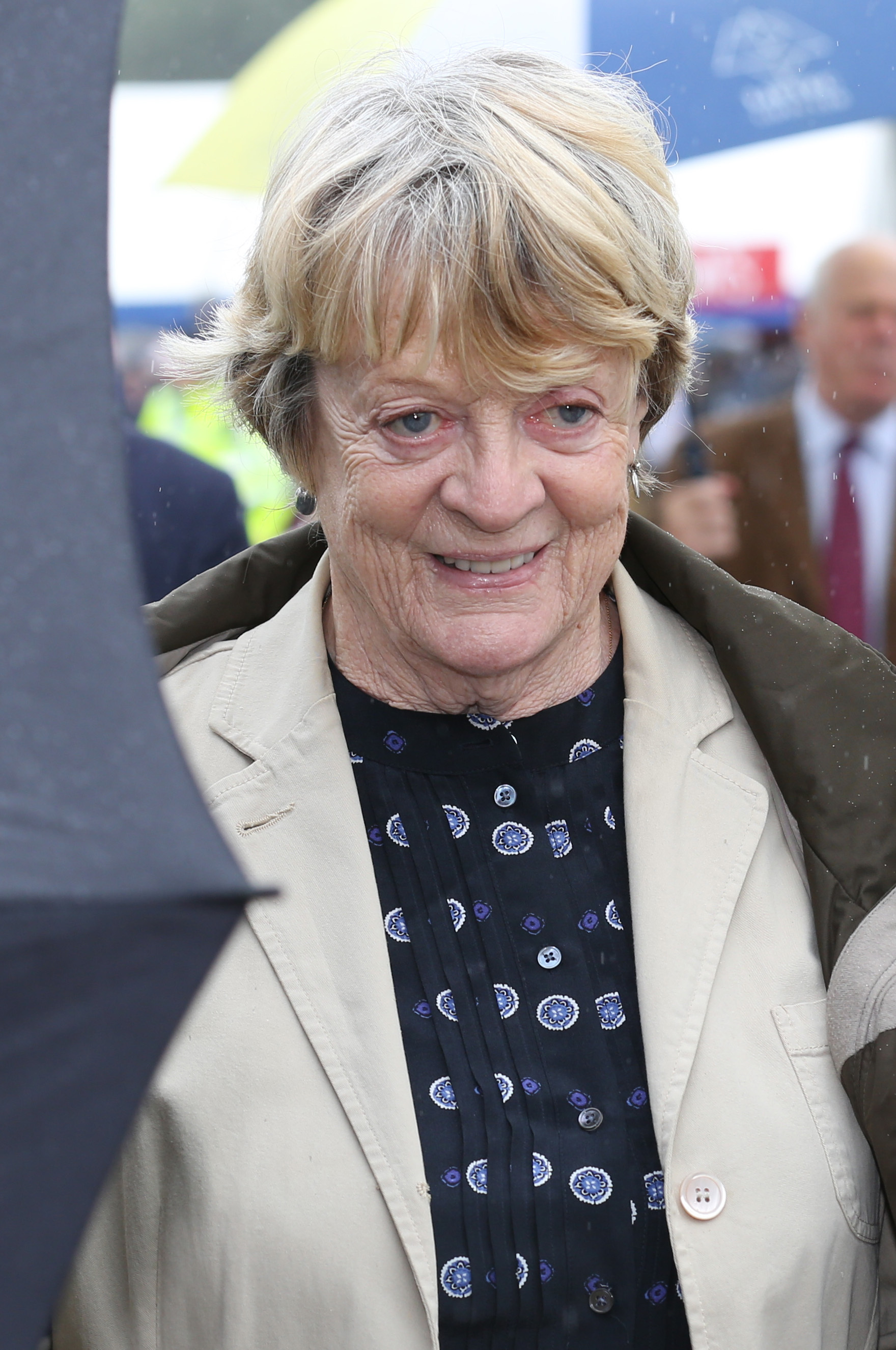 Maggie Smith at the 132nd Sandringham Flower Show on July 31, 2013 in Norfolk, England. | Source: Getty Images